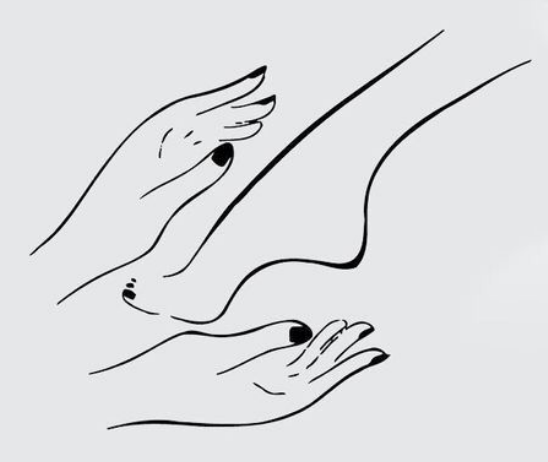 Website Logo